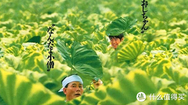 12部大人孩子必看画片裂墙推荐！别仅仅收藏！一定要看！