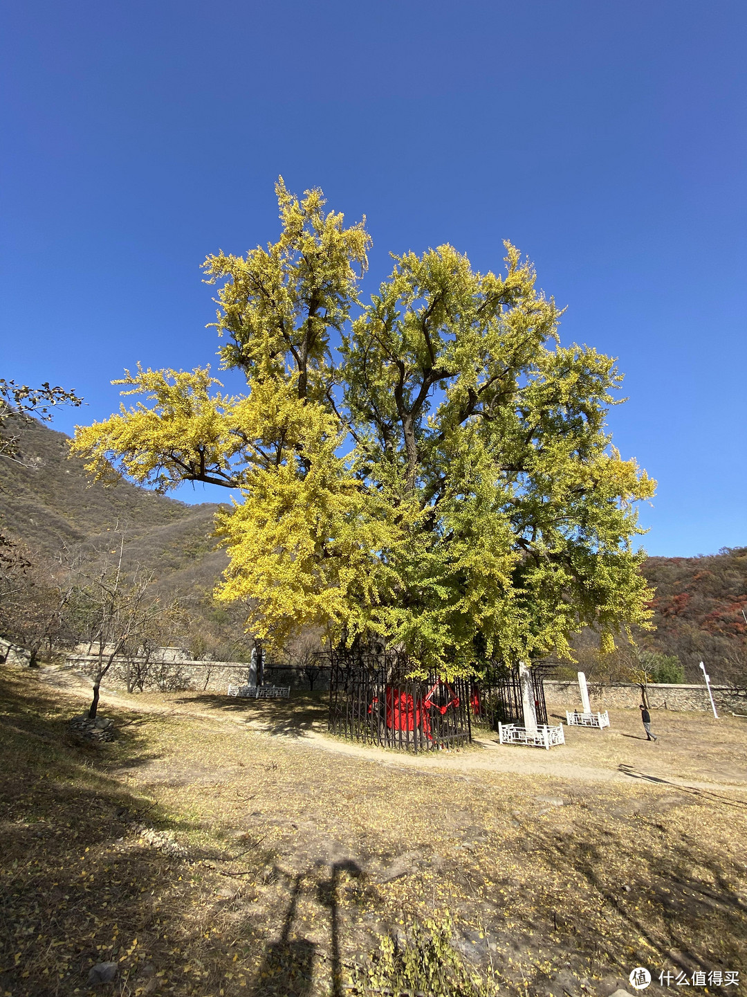 因私不准出京，周末浪迹京郊（十字寺&金陵）