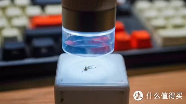 亲自体验一回蚁人生活—当当狸智能显微镜