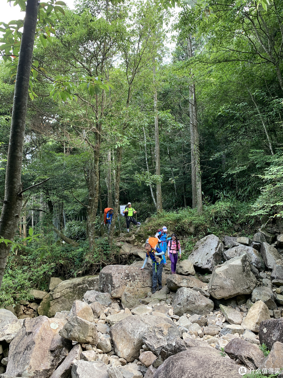 安地斯新品胡杨-200睡袋贴身相伴石谷解记