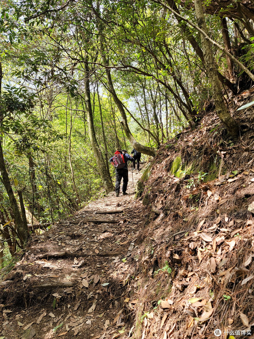 徽杭古道游玩建议及防坑指南（你可以直接跳过前面，看最后的建议）