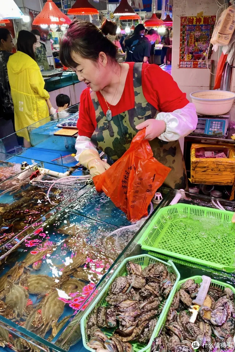 去青岛除了看海吃海鲜，还能干什么？当然是喝啤酒啦！