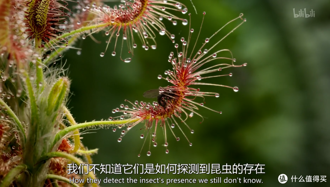 神兽五一宅家怎么办?奶爸三招带你轻松带娃