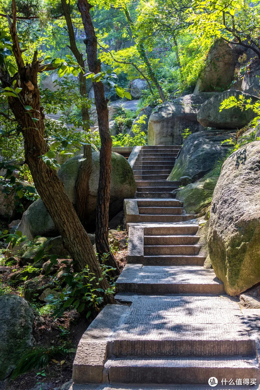 青岛最野的海，在崂山！