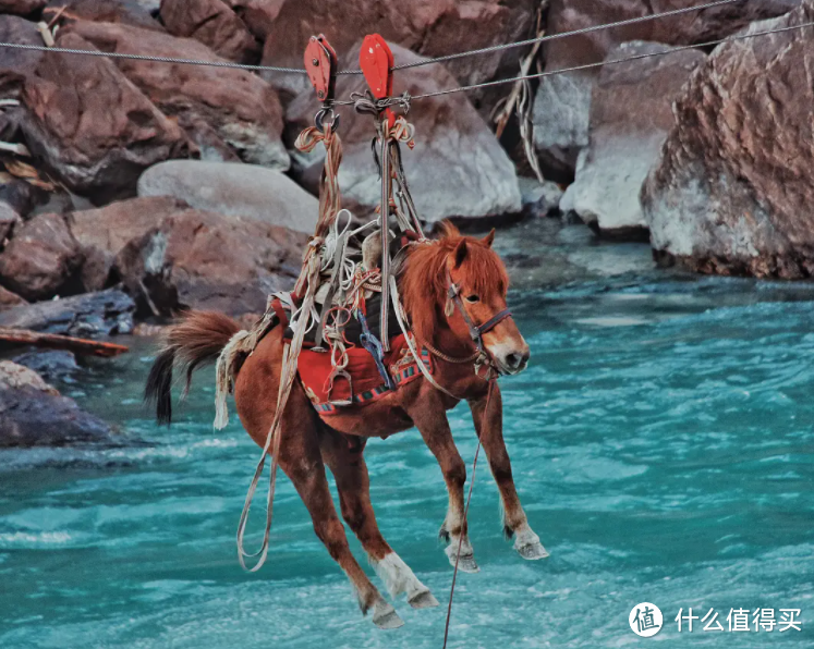 在家看世界！盘点15部中国绝美旅行纪录片 丰盈孩子的内心 滋养孩子的灵魂！（附观看链接）