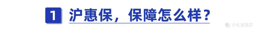 上海人必看！沪惠保正式上线，115块钱能保230万