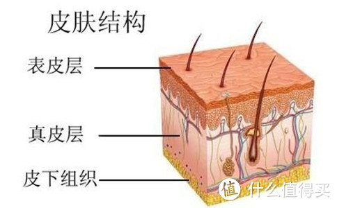 好用的粉底液排行榜，你最适合哪一种？