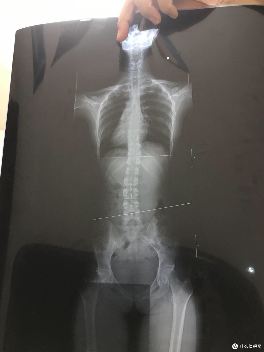 片子拍于2年前