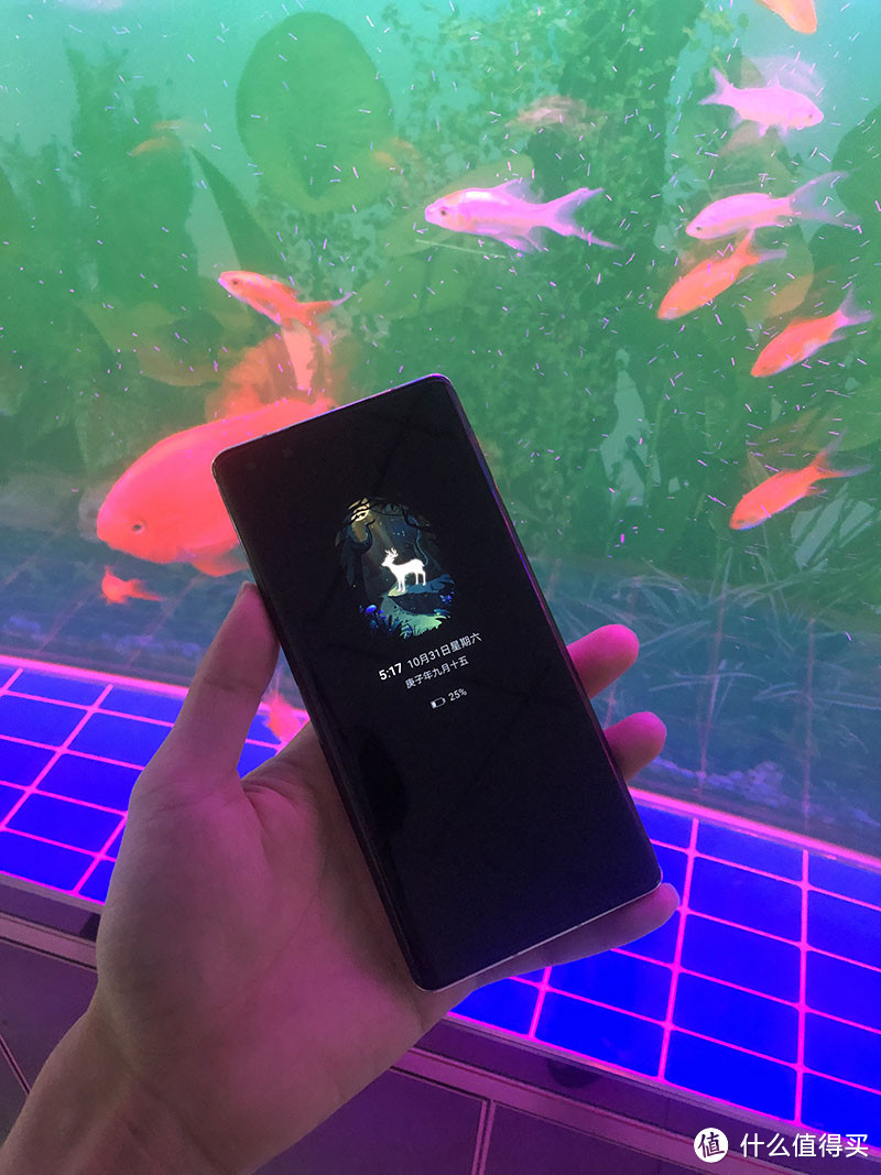 恶魔般存在【量子膜】mate40Pro