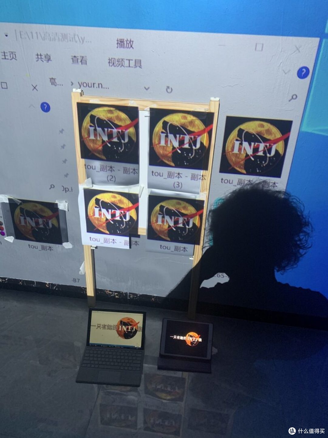 5种幕布与投影漆 235寸视频对比，投影幕布选购全攻略