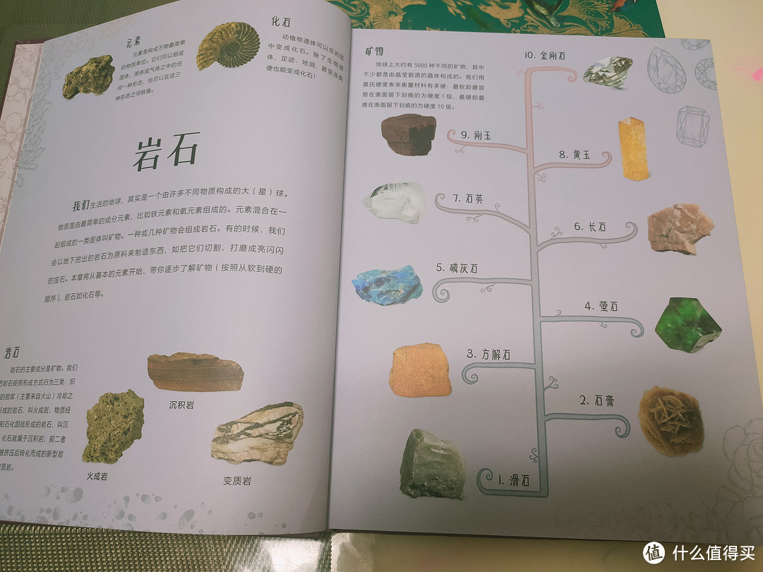 最好的儿童节礼物是给孩子一个世界——【轻众测】DK大自然百科全书典藏版