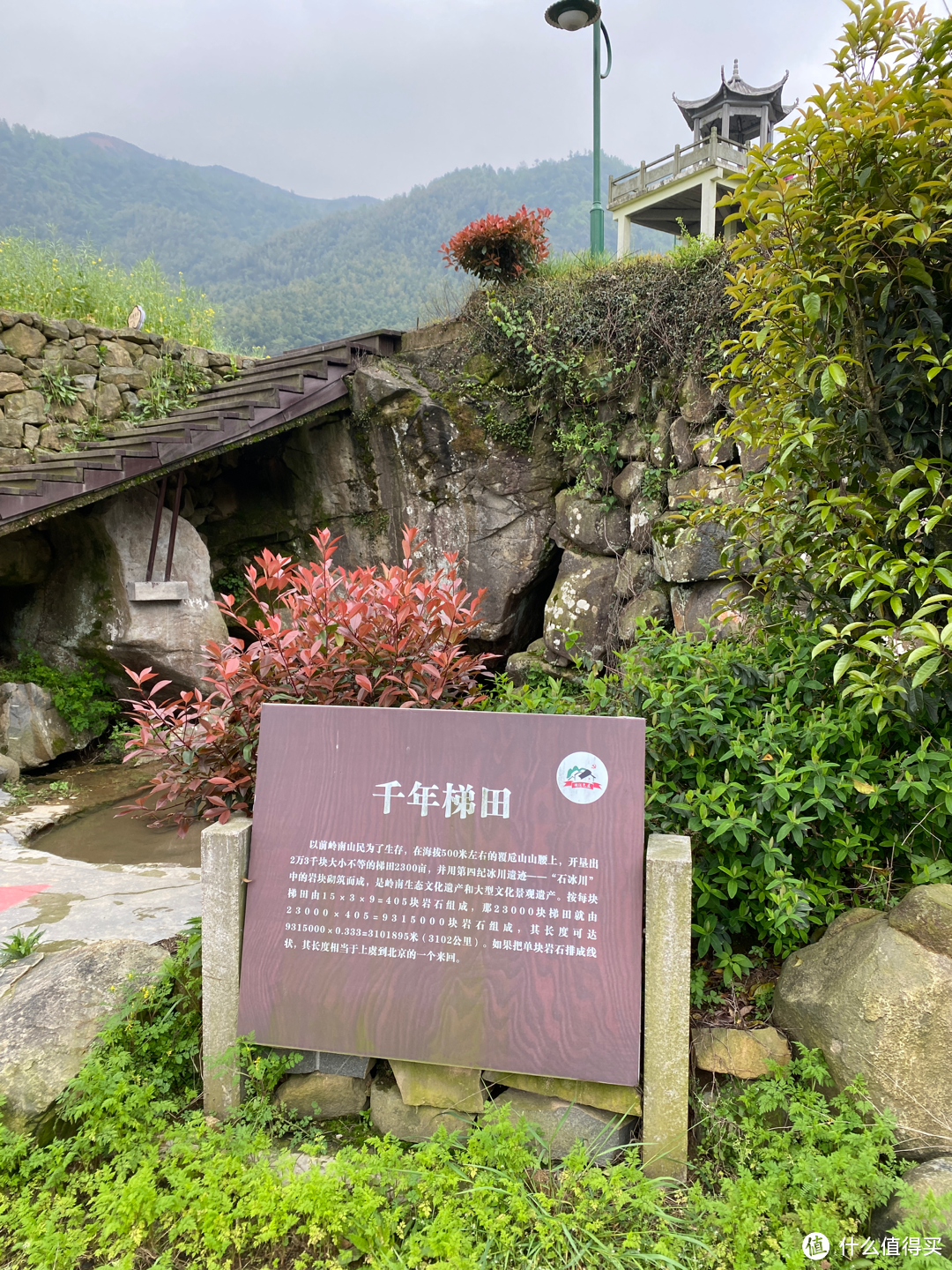 浙江覆卮山景区一日游：看石浪，赏梯田