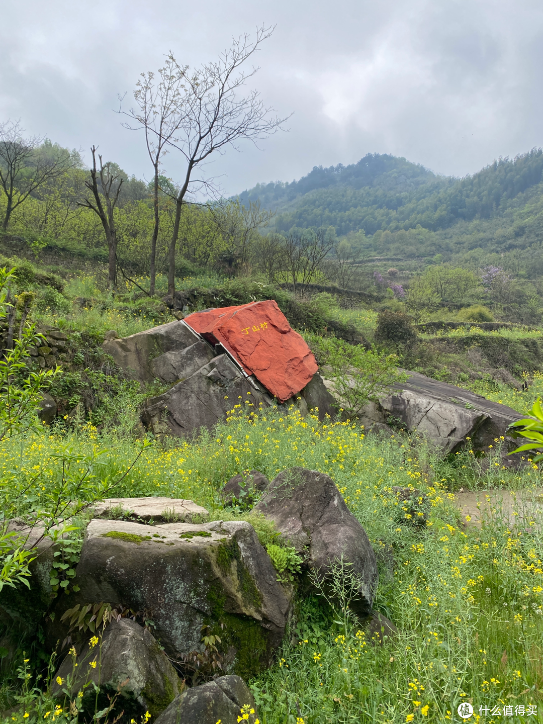 浙江覆卮山景区一日游：看石浪，赏梯田