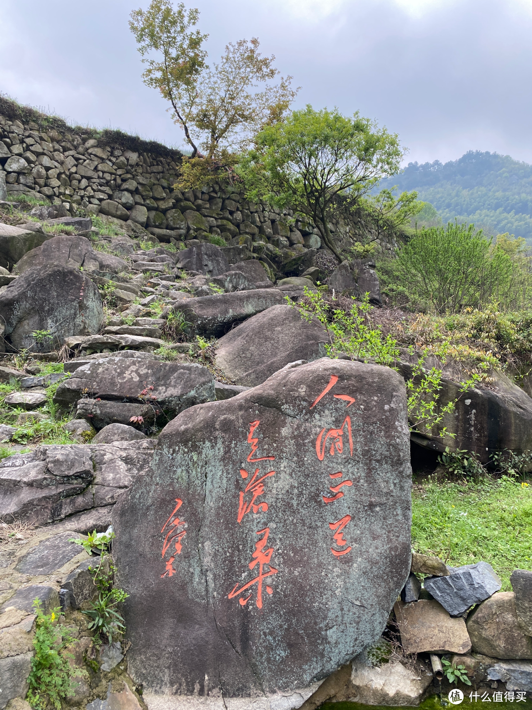 浙江覆卮山景区一日游：看石浪，赏梯田