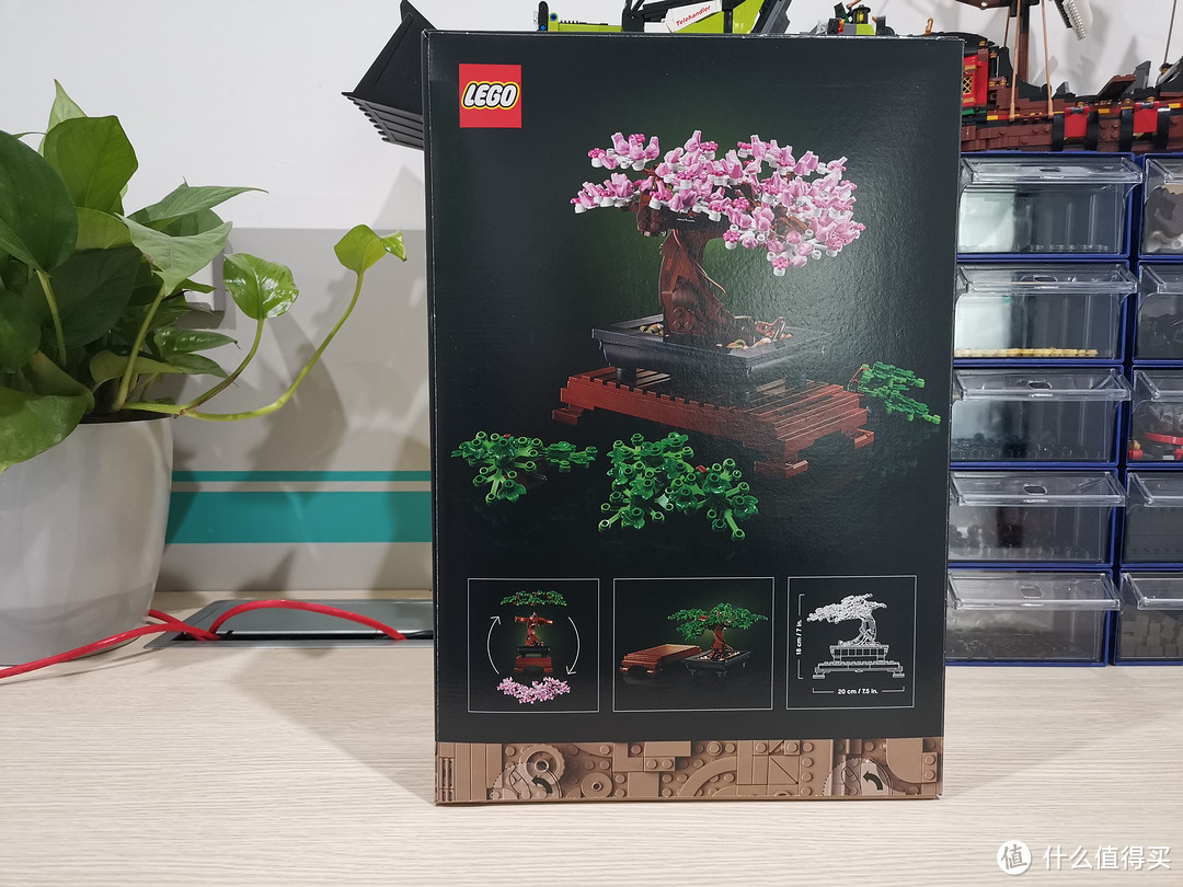 LEGO 花草植物系列 10281 盆景盆栽 评测