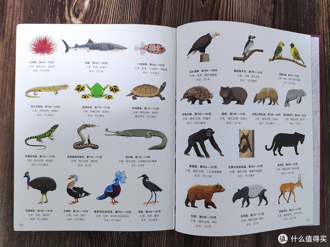 典藏级别的DK百科全书——《DK神秘大自然奇观》《DK奇妙动物大百科》轻众测报告