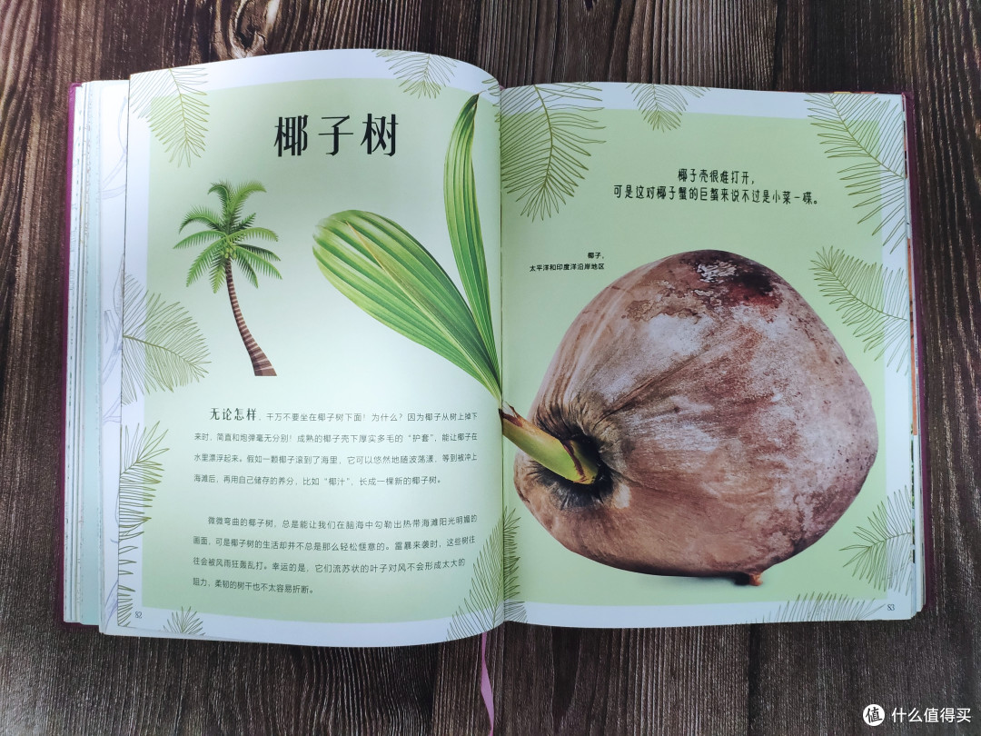 典藏级别的DK百科全书——《DK神秘大自然奇观》《DK奇妙动物大百科》轻众测报告