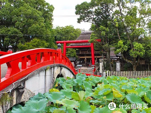 《夏目友人帐》联动熊本县，新作动画化身旅游攻略！