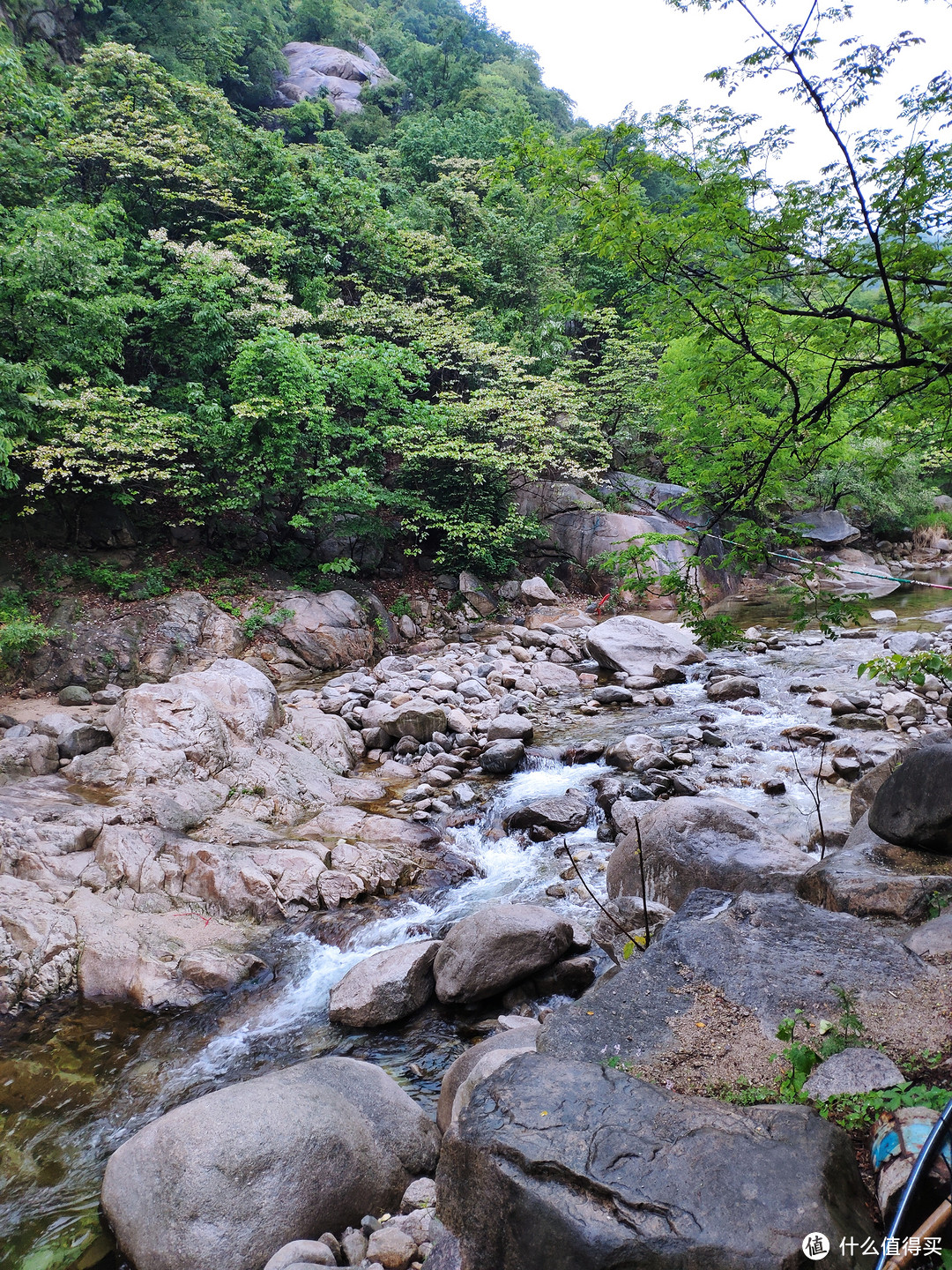 这个小院挨着景区的山这一侧，完美复刻景区的山和水