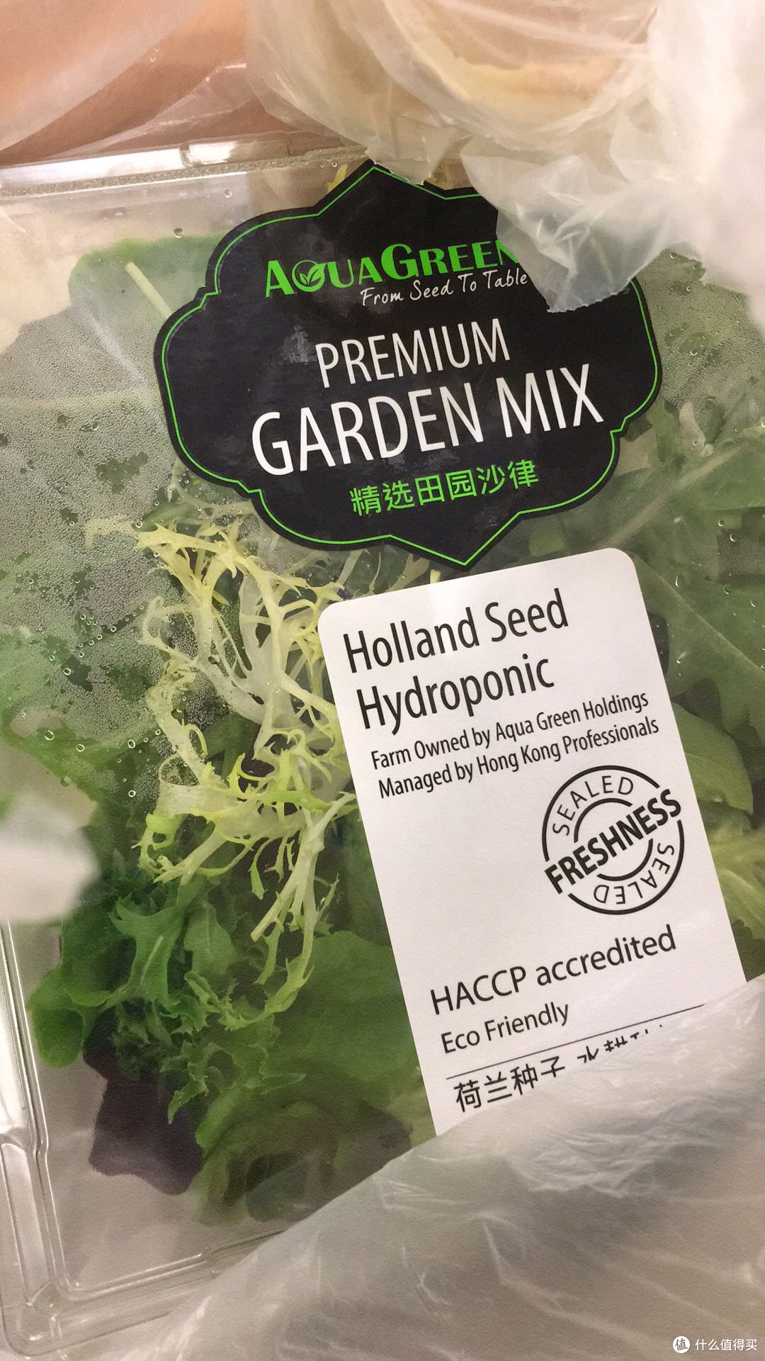 从食材到酱汁,10+款沙拉伴侣带你解锁终极美味的沙拉餐!