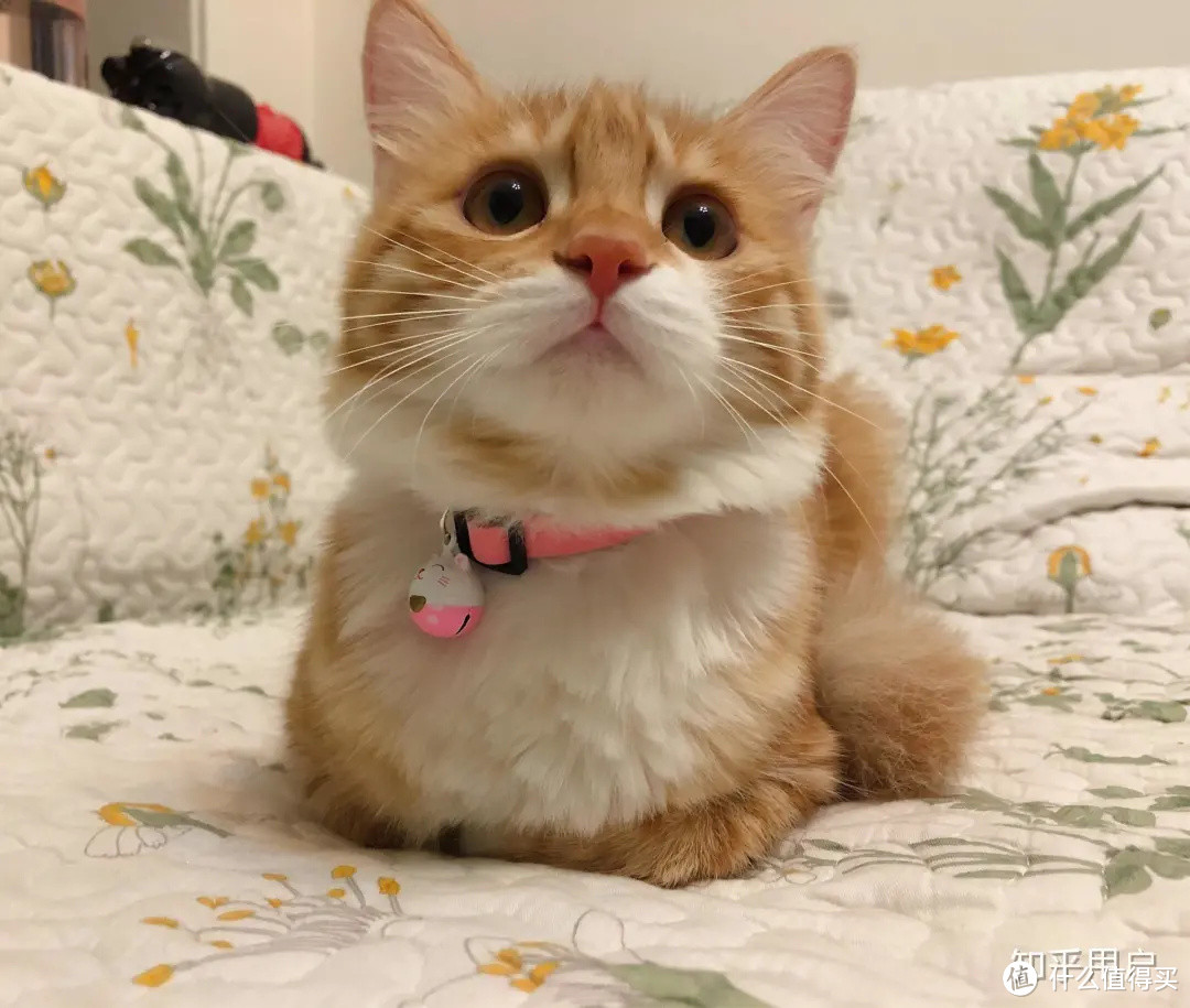那些小姐姐的真面目,只有这个网站能帮你看清