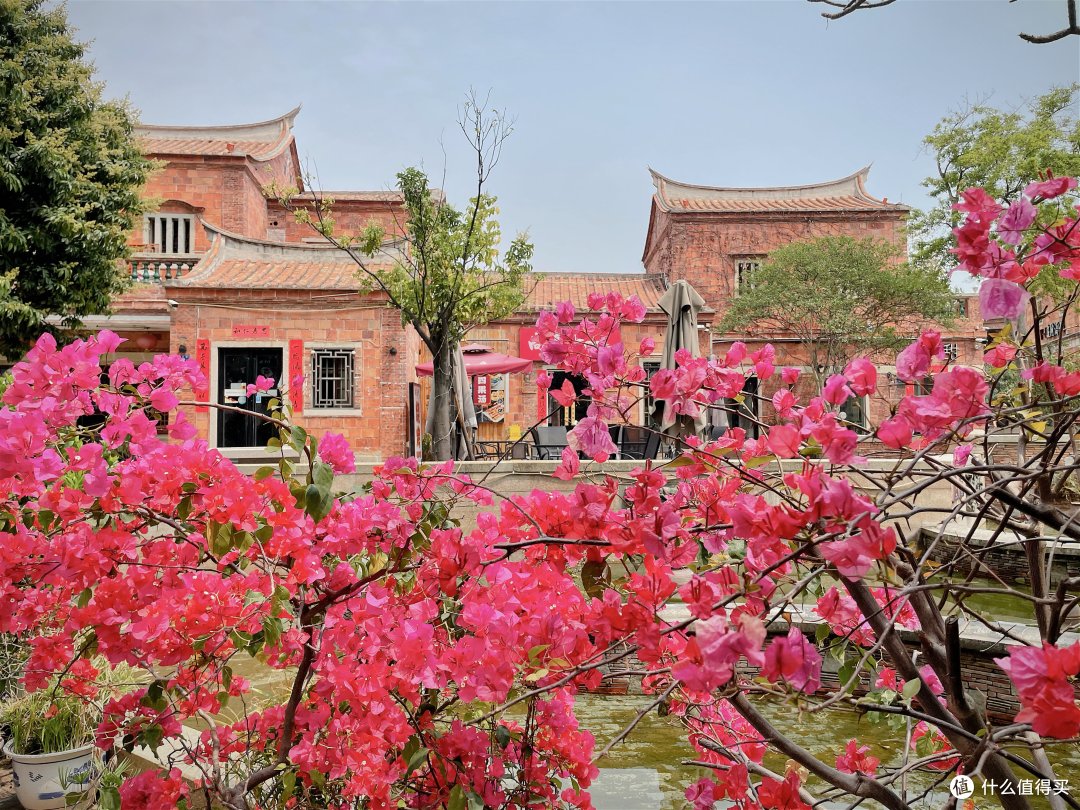 小众旅行地:泉州4天3夜- 泉州洲际3月行