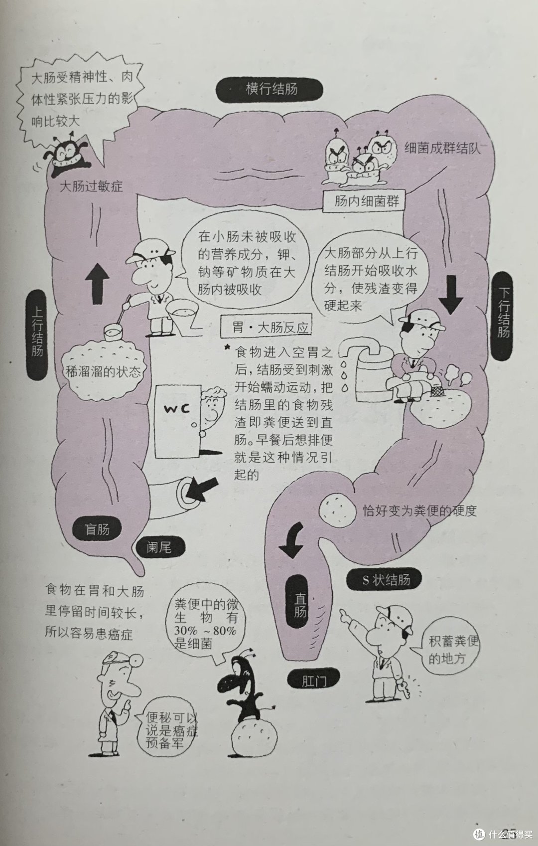 图书馆猿の2021读书计划26:《轻松健康指南从书》