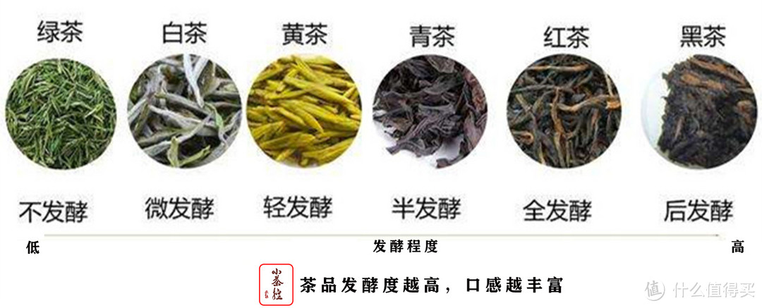 普洱新嘴看过来 17个点带你初步认识普洱茶