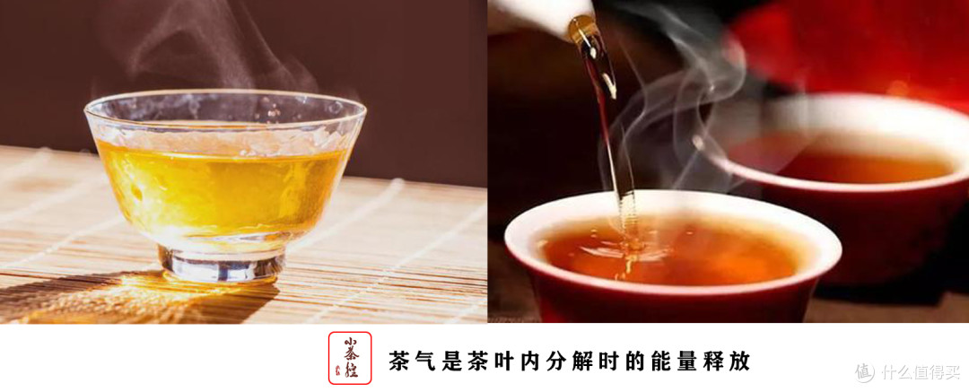 普洱新嘴看过来 17个点带你初步认识普洱茶