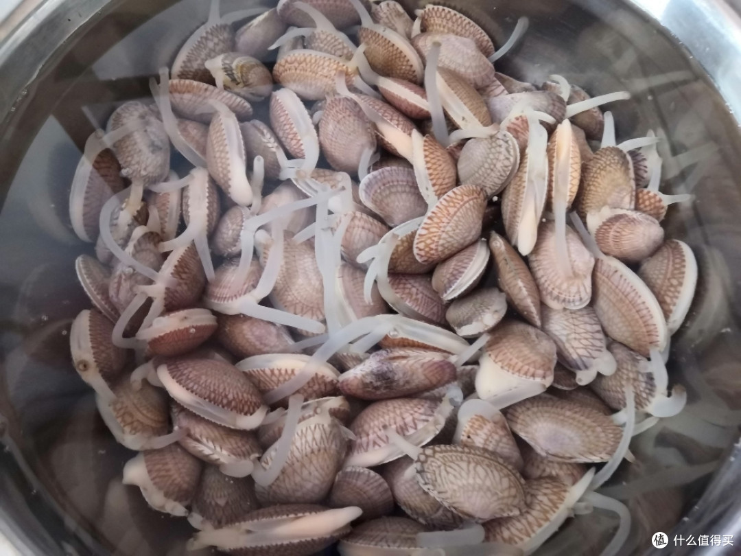 吃炒花甲和白切鸡的午餐