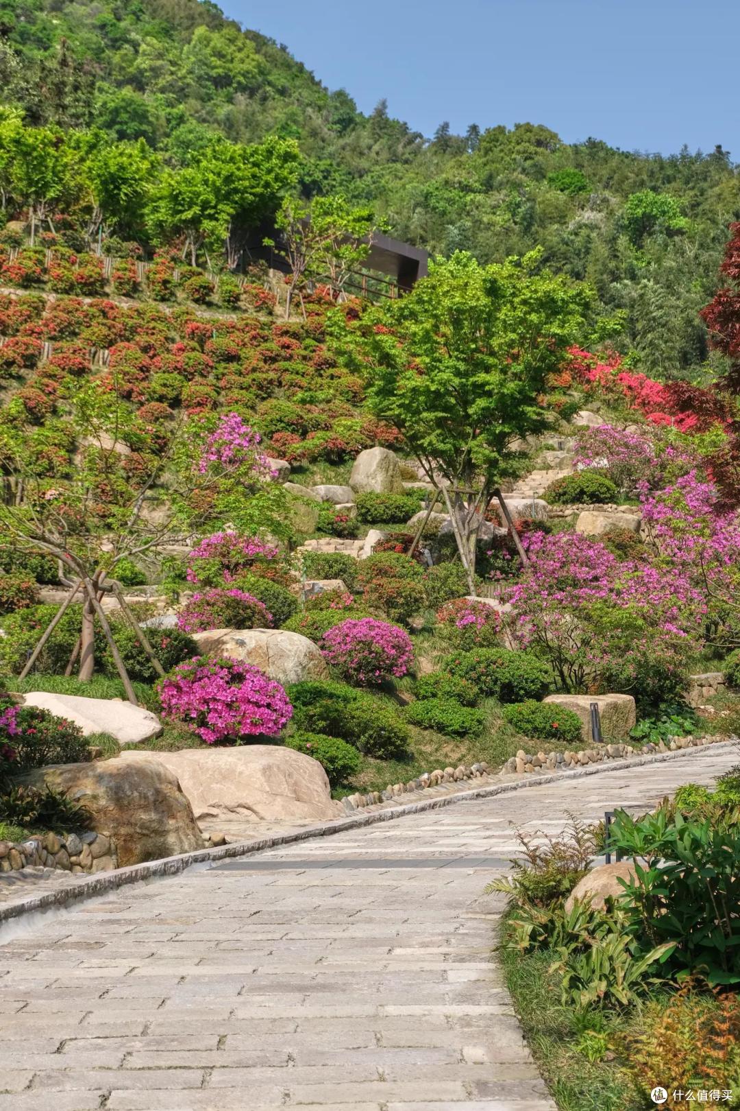 动静皆宜的多彩田园浙江德清上渚山奇幻谷体验之旅