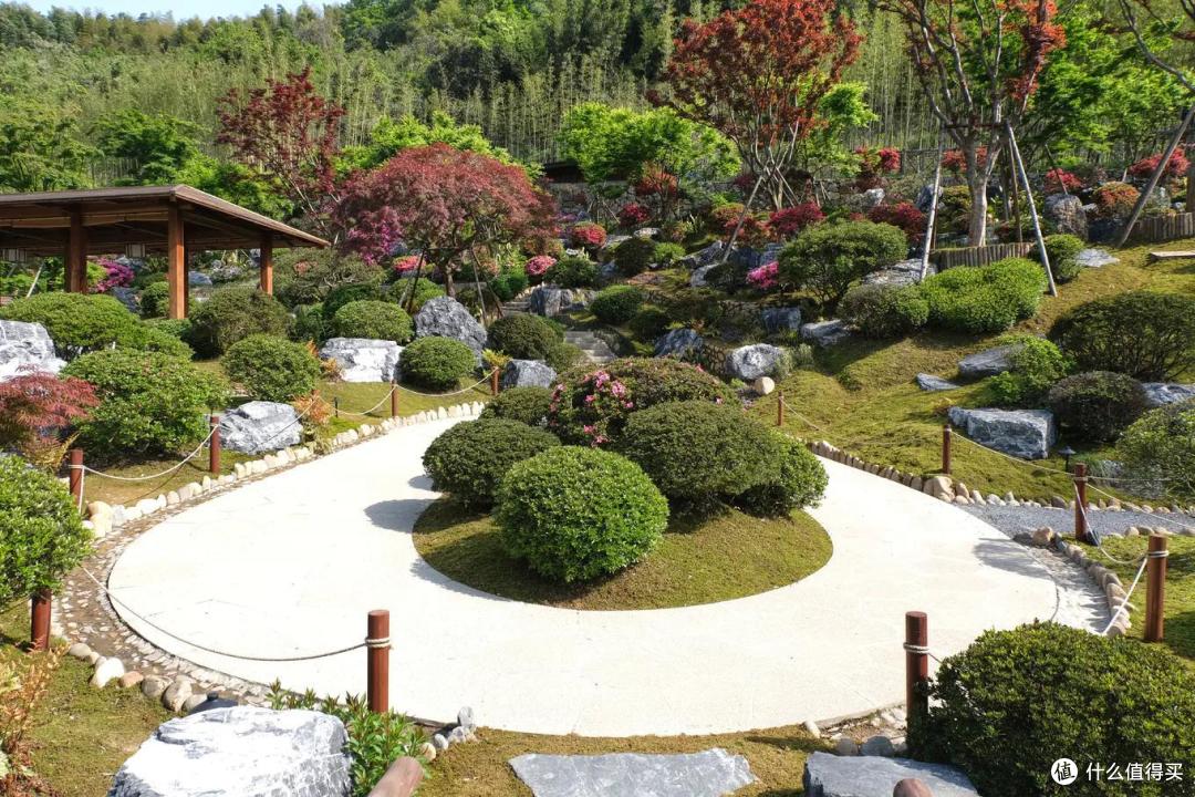 动静皆宜的多彩田园——浙江德清上渚山奇幻谷体验之旅