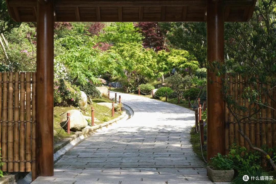 动静皆宜的多彩田园——浙江德清上渚山奇幻谷体验之旅