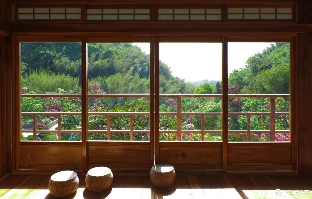 动静皆宜的多彩田园——浙江德清上渚山奇幻谷体验之旅