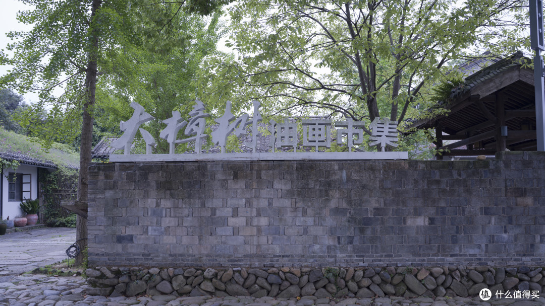 大樟树是画乡知名景点，村里很多大樟树，尤其村口的这颗，好大，所谓大树底下好乘凉，直到今天中午烈日高照的时候，我才知道这句话的真谛，真的热，真的晒，真的树下好凉快，skr好押韵