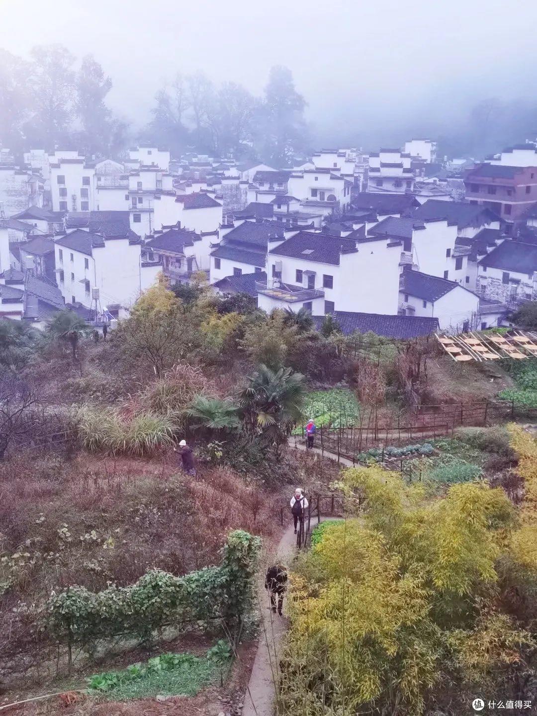 自古逢秋悲寂寥，婺源秋日胜春朝，只知道婺源春日的油菜花？其实这里的秋天更美