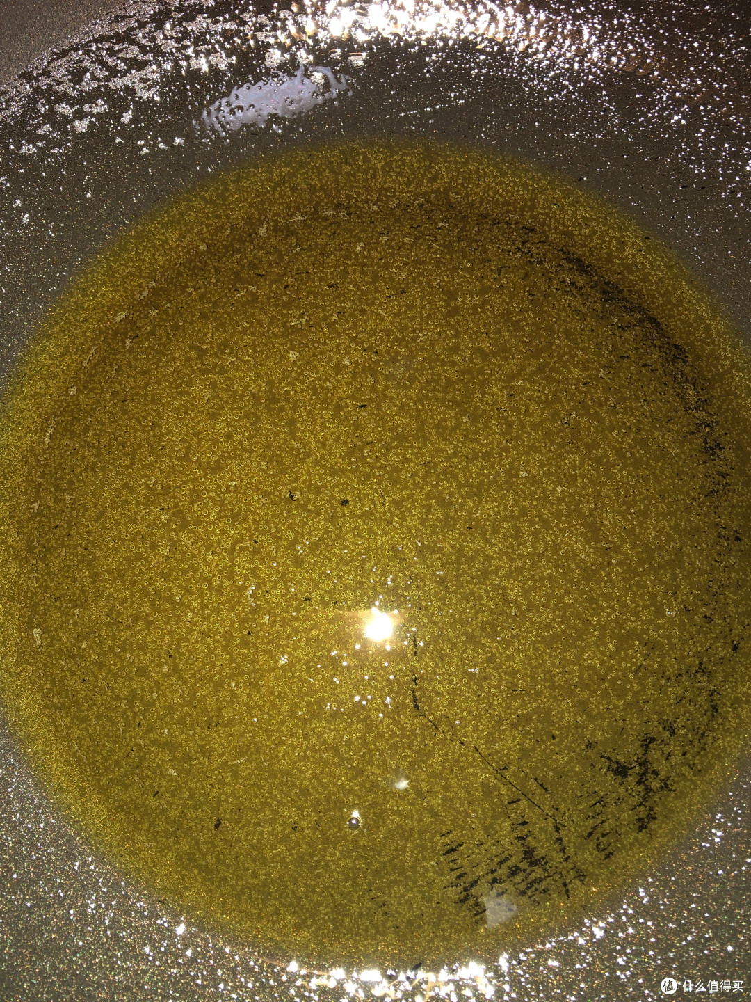 蒜蓉虾尾，蒜蓉花甲——两款适合夏天的美味，好吃到嗦手指，怎么做？赶紧看过来吧