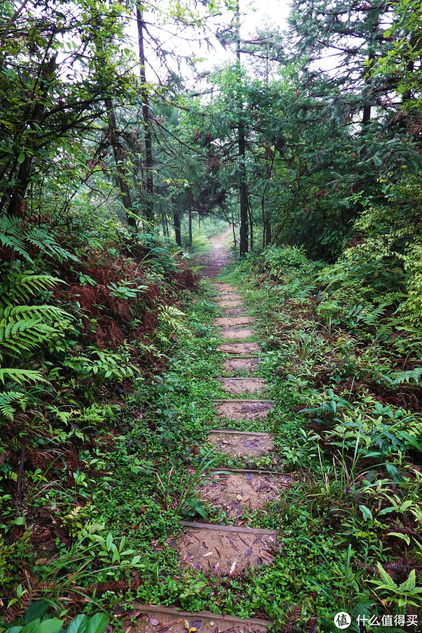 下山路