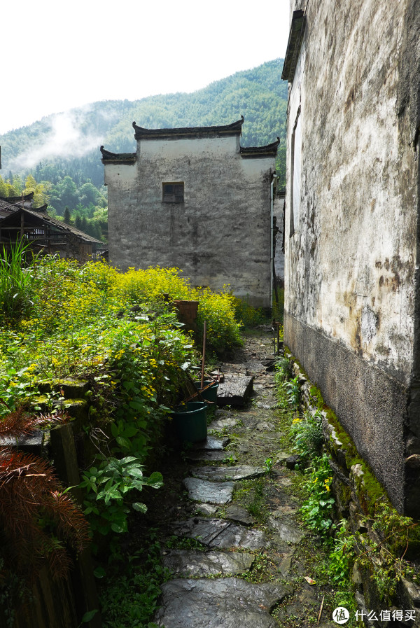 祖源村景