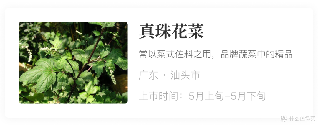 风物日历5.18|应季美食美景推荐