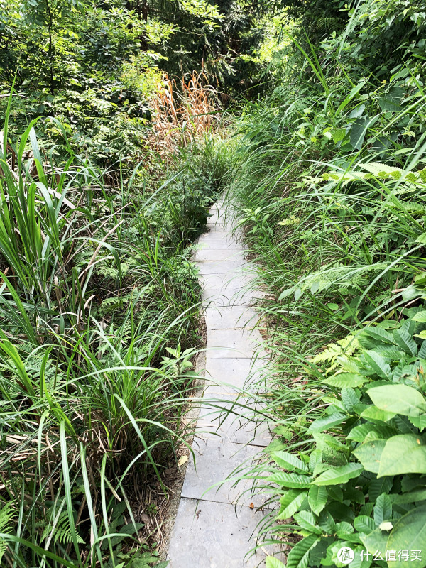 中间一段平坦的石板路