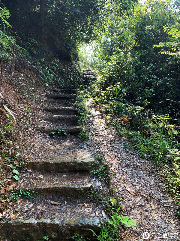 去往观景台