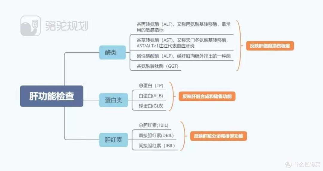 得了乙肝怎样买保险?哪些保险值得乙肝患者买?最新最全乙肝投保指南,乙肝投保不迷茫。