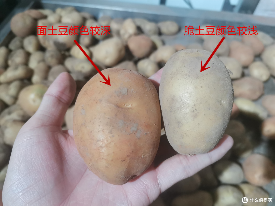 买土豆时别只会挑大小,分清“面土豆和脆土豆”,选对土豆,做菜才会更香