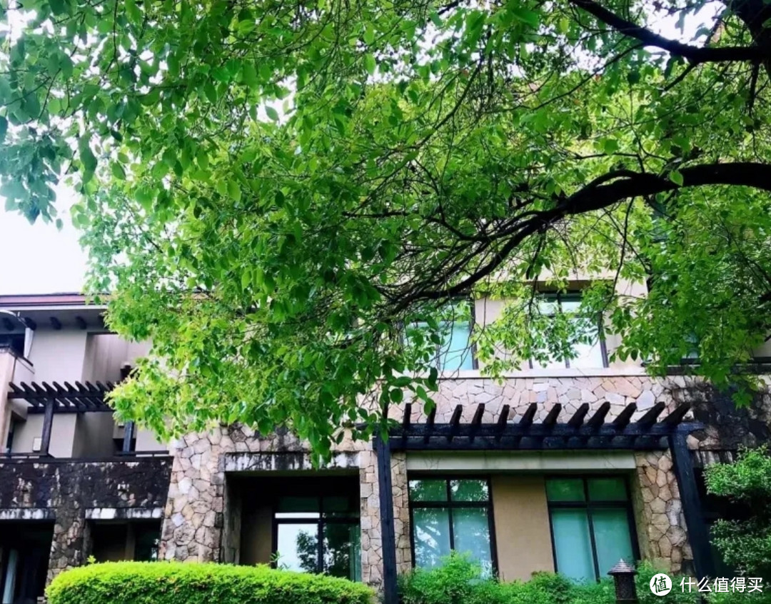 良渚君澜亲子游----亮点有,却也槽点满满的春游