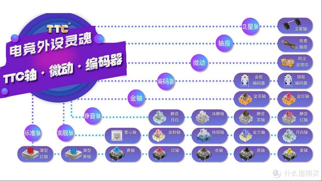 原来你是这样的，2021TTC工厂行纪实