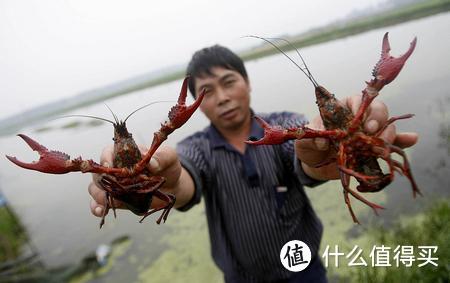 （尽量选择产地/包装地在几个小龙虾南方大省的商品，生鲜商品经不得长时间运输，或者垮半个中国后再深加工，就地加工品质更好）