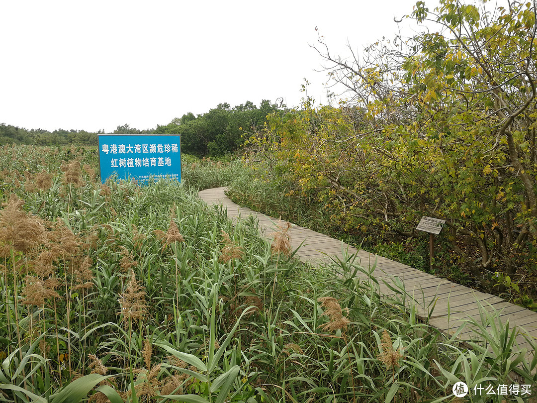 珠海自驾好去处，沿情侣海岸，玩至美山水、长隆、淇澳岛、灰沙滩、带你走入不一样的珠海行