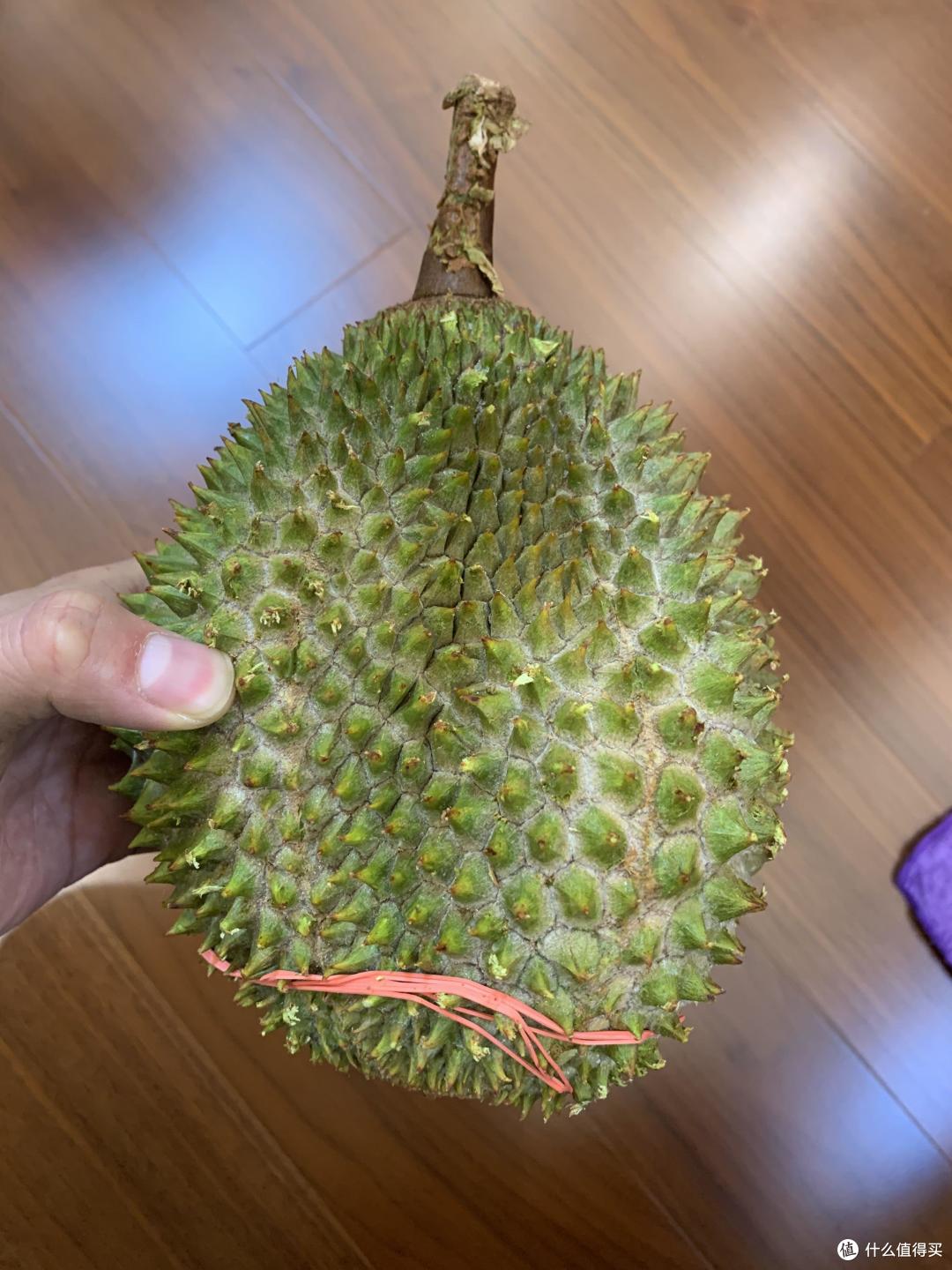 跟着张大妈买榴莲——京东猫山王谁与争锋?