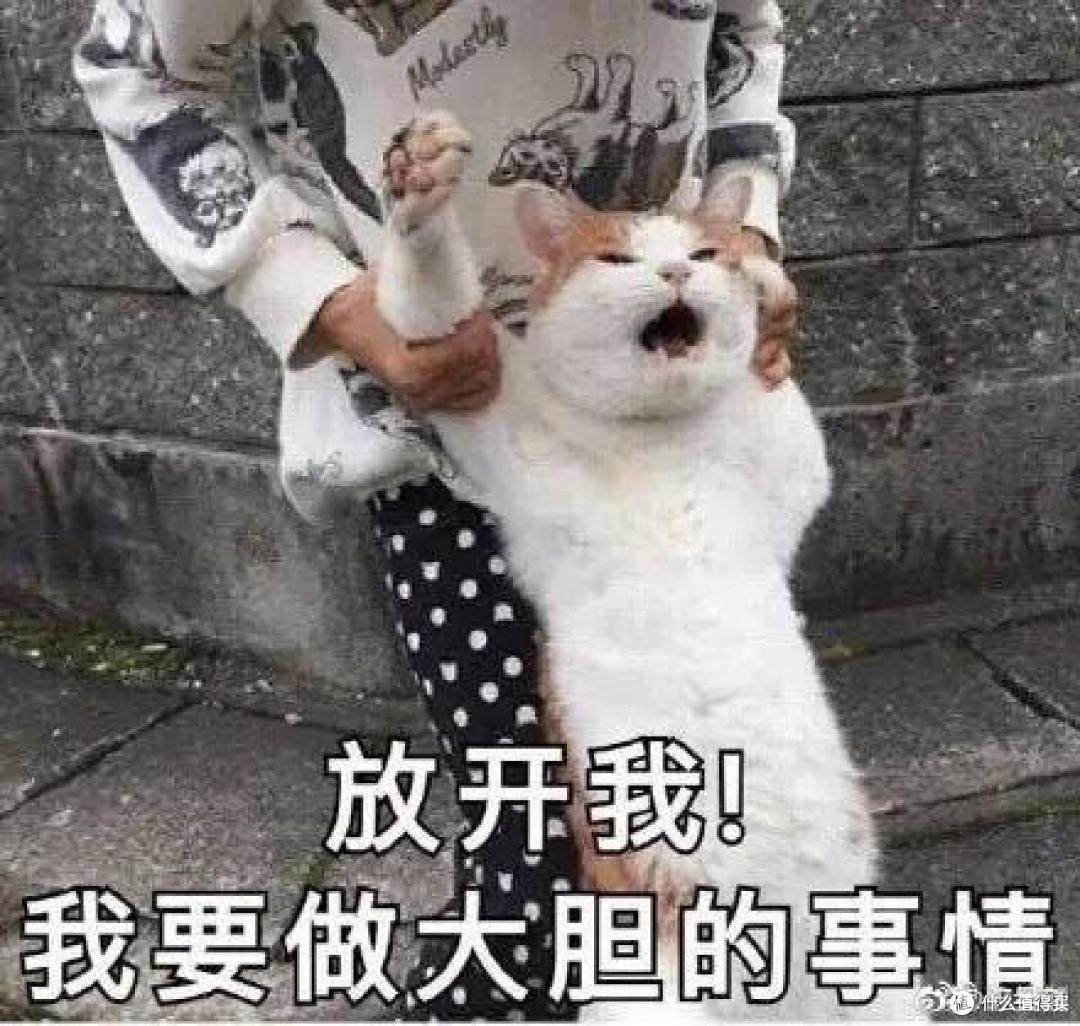 618值得购买的好物分享